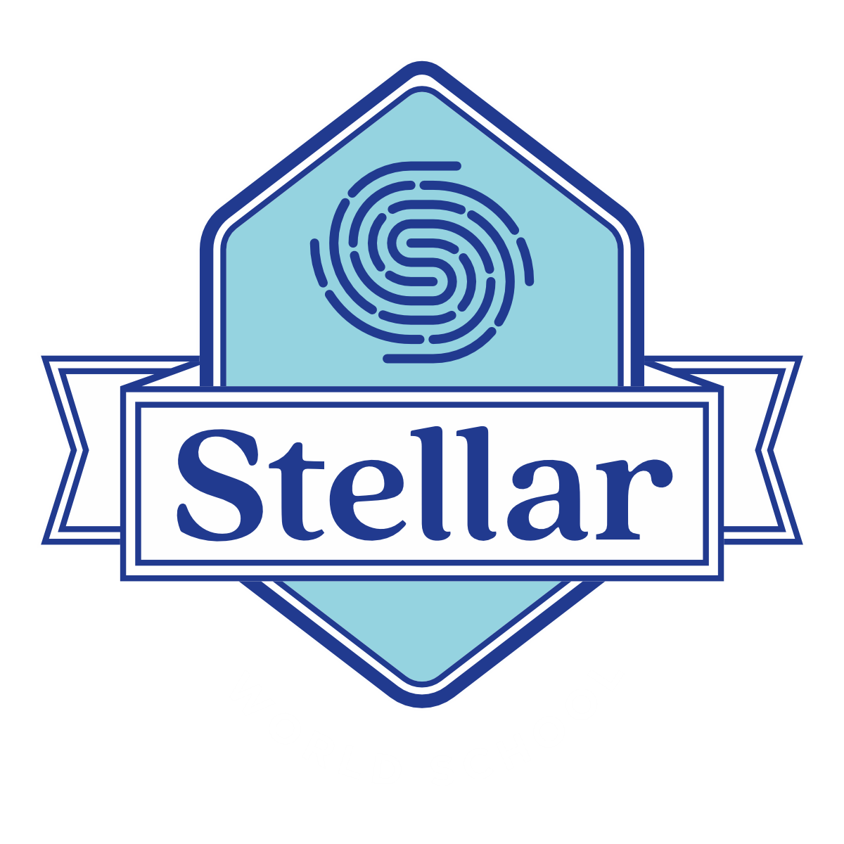 Stellar World School